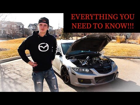 What To Look Out For When Buying a Speed6. Buyers Guide!