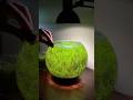 Cleaning Algae In A Planted Tank