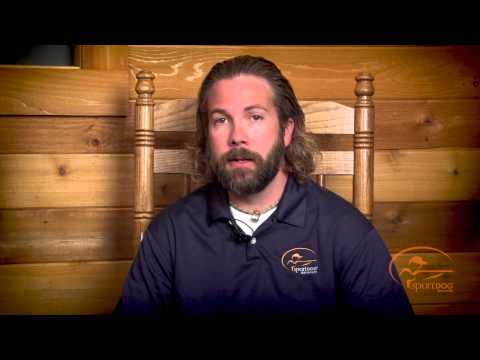 NoBark 10R (SBC-10R): Why It's a Cool