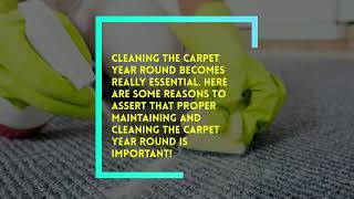 Reasons To Clean Your Carpets Year Round