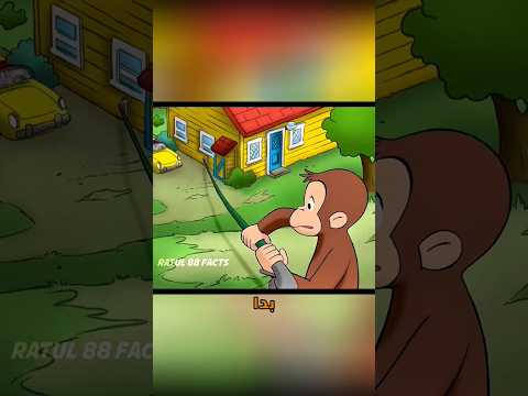 ظنّ الدب أنه فشل… لكن عجلاته غيّرت حياة كل الحيوانات! 🐻#fyp#cartoon #foryou#foryoupage#viral