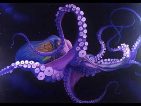 Space Octopus - Evademe en DIrecto!!!