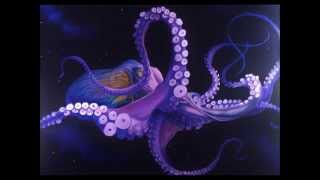 Space Octopus - Evademe en DIrecto!!!