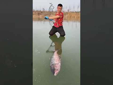 Fish 🐟 | New Viral Gadgets, Smart Appliances, Kitchen Utensils/ Home Inventions #shorts #gadgets