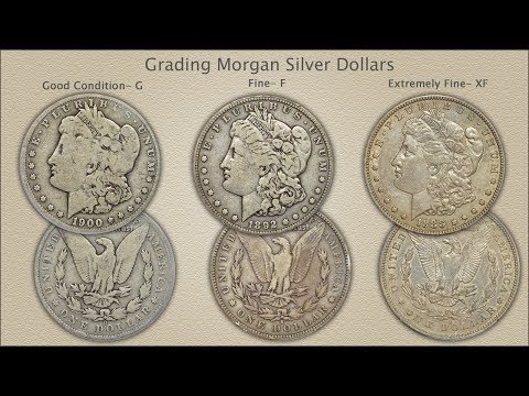 Grading Morgan silver Dollars