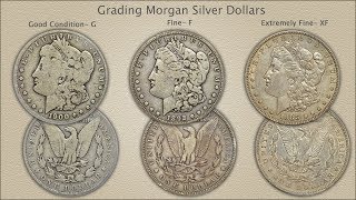 Grading Morgan silver Dollars