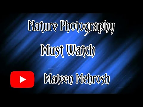 Nature Photography Status || Pic: Mateen Mehrosh