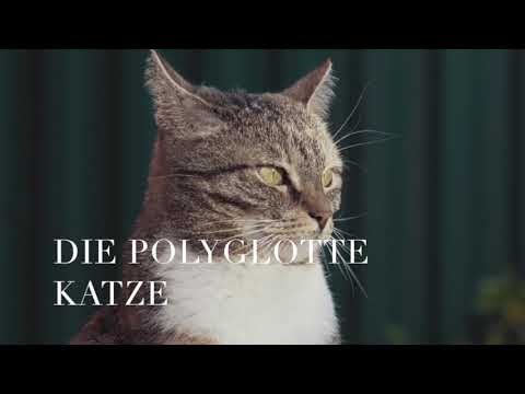 DIE  POLYGLOTTE  KATZE 🐈    Heinz Erhardt   (1909-1979)