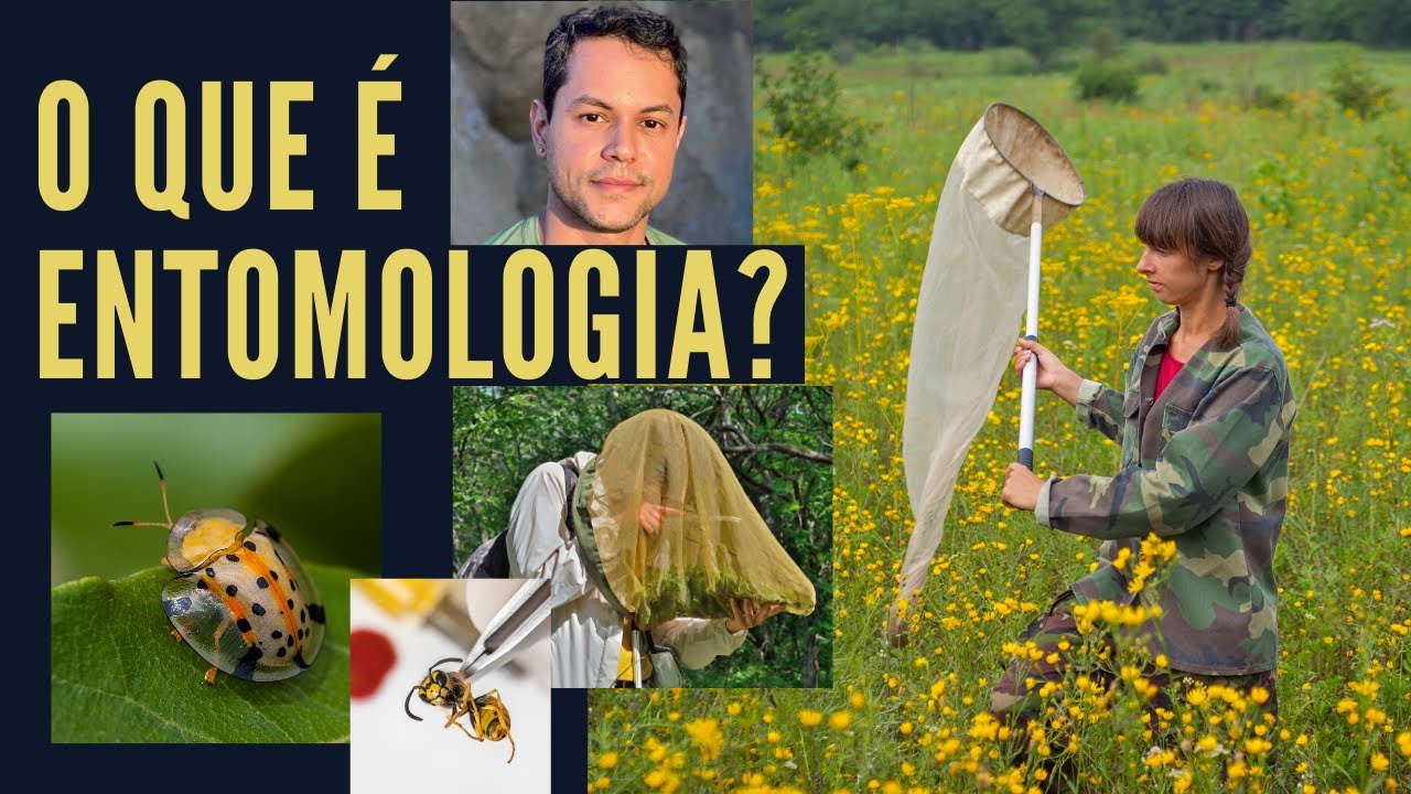 O QUE É ENTOMOLOGIA E O QUE FAZ UM ENTOMOLOGISTA?
