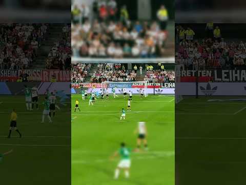 Germany vs. Northern Ireland 1:1