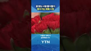 실종된 '카네이션' 대목 #shorts / YTN