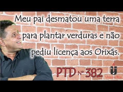 PTD nº 382 - Meu pai desmatou uma terra para plantar verduras e não pediu licença aos Orixás