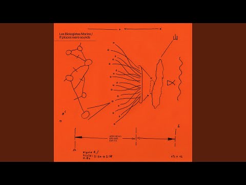 Lombok (feat. Anton Sconosciuto, Beatrice Miniaci)