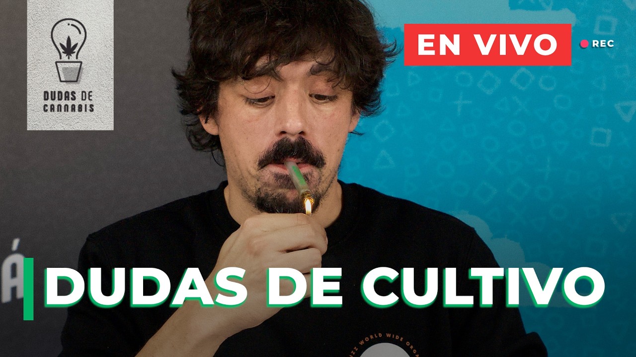 LIVE: RESUELVE TODAS TUS DUDAS CON ALVARITO