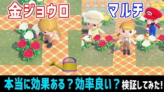金ジョウロって効果ある？フレンドの水やりって効率的？青バラ交配で検証してみた！【あつ森】