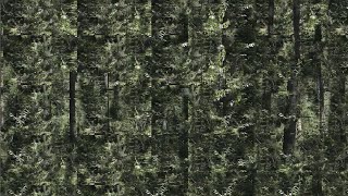 Wolfgang Voigt - Werkschau (deutsch)