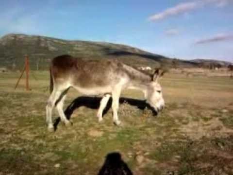 ANUNCIO ESTEBAN GARBAYUELA