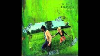 The Mr. T Experience - Game Over