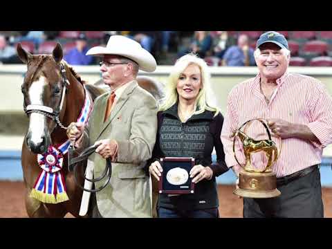 2017 AQHA Yearling Geldings