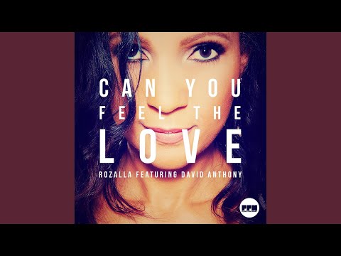 Can You Feel the Love (Extended Mix)