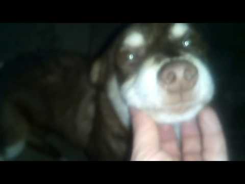 Забрали котят./Как Малыш без котят/🙊🙉😒