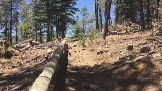 Spruce Mountain trail