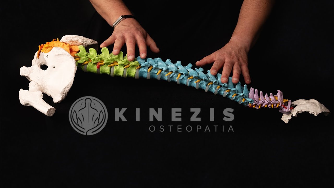 Krzysztof Komisarek-17