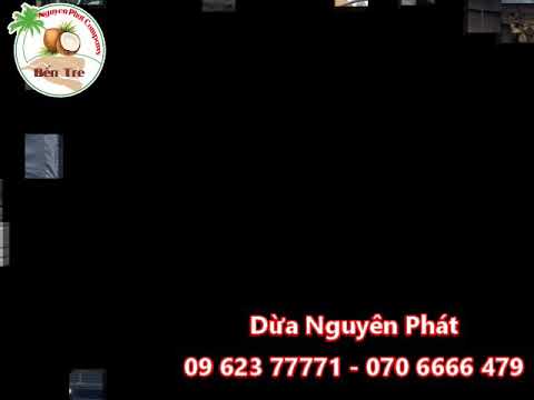 Dừa khô bến tre 09623 77771 070 6666 479