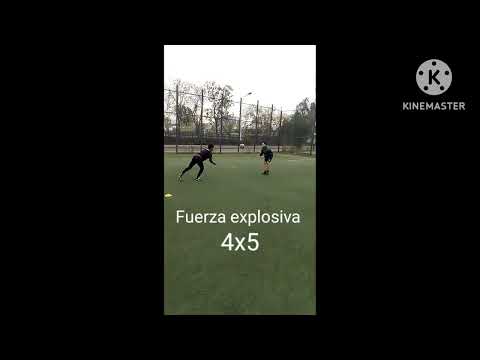 trabajo práctico , Juan cruz anselmi