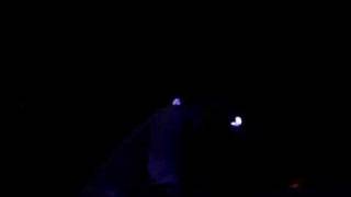 Sunset Rubdown - Winged/Wicked Things