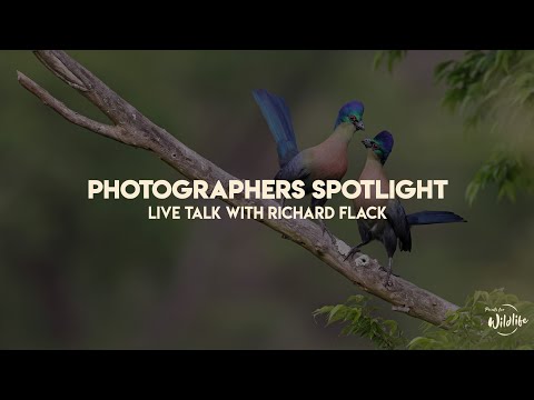Photographers Spotlight: Live Talk with Richard Flack