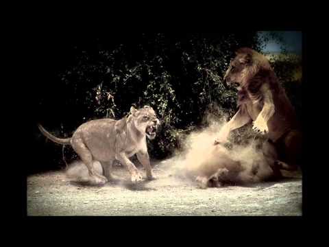 Matt U - Danger [ Congi Remix ]