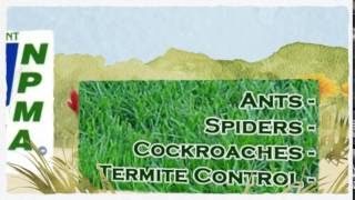 preview picture of video 'Ameritech Pest Saginaw TX 817-381-2468 Tick Treatment 76131'