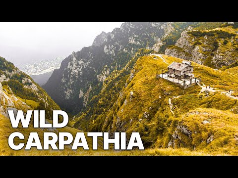 Wild Carpathia | Europe’s Last Great Wilderness