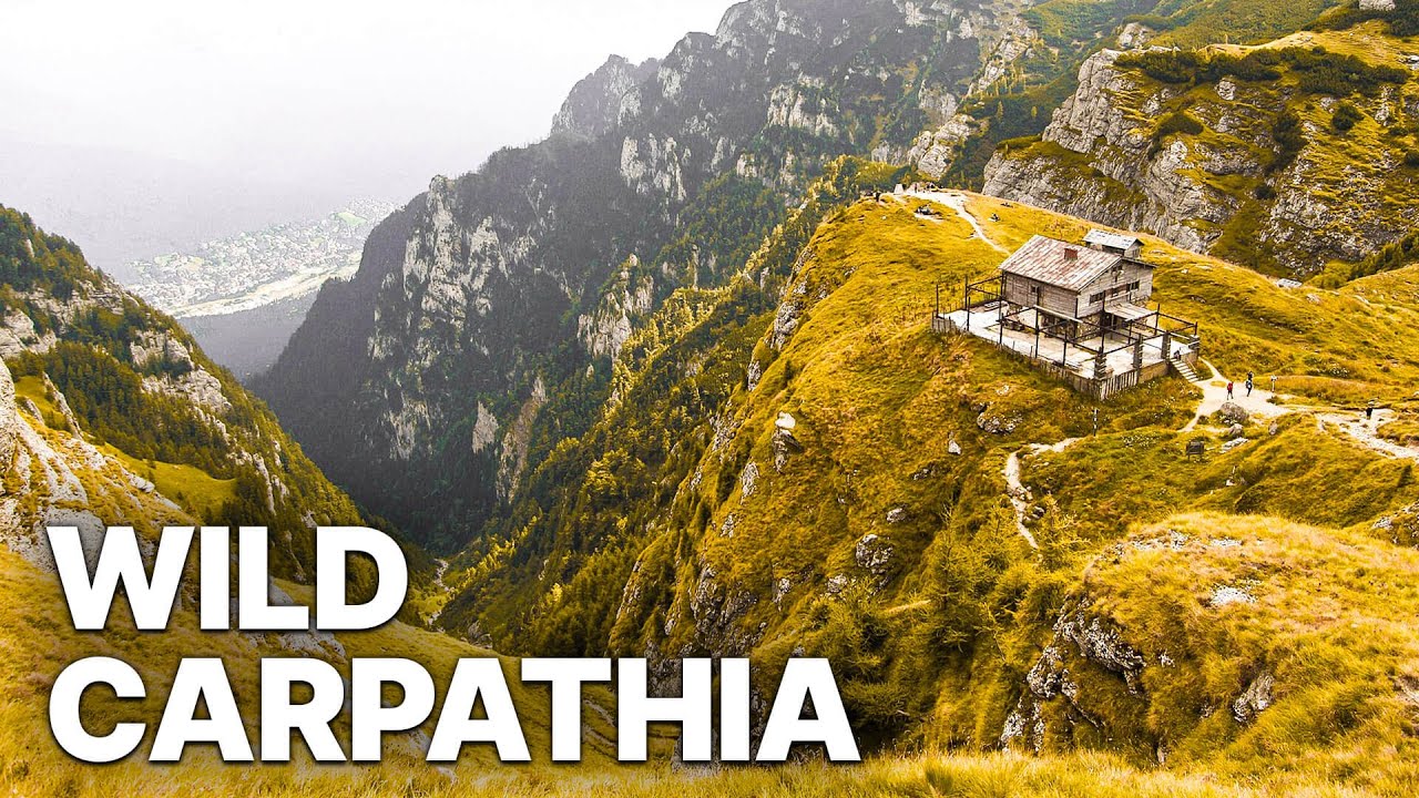 Wild Carpathia | Europe’s Last Great Wilderness