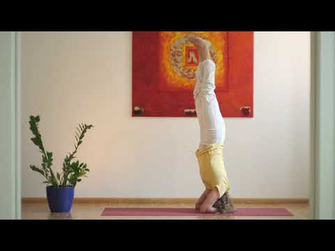 Wie meistere ich den Yoga Kopfstand? Stell' die Welt auf den Kopf mit Sunita von Yoga Vidya Freiburg
