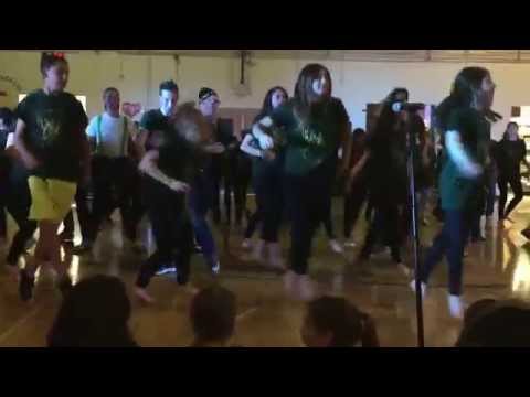 Israeli dance team eretz