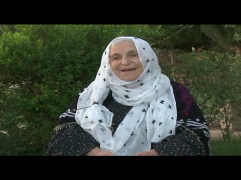 JENI HORAMANI  06 09 2015