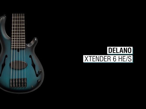Delano Xtender 6 HE/S - Mensinger Joker B 6p-24 Hollowbody 35"