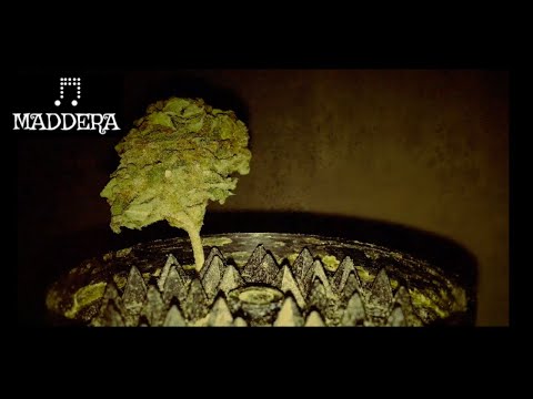 Workaholics (YMTK Ft. Kool John Remix) Prod. Maddera