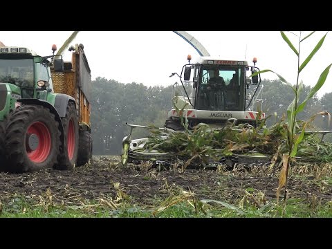 Loonbedrijf RJ Wardernier met Claas Jaguar 890 in de mais (2015)