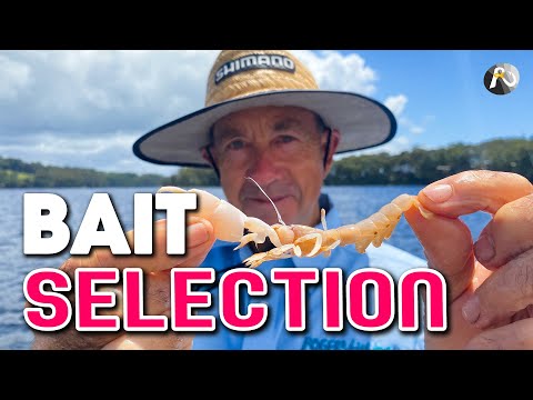 What Baits + Rigs Should You Use? Beach Fishing TRAINING Live Stream!