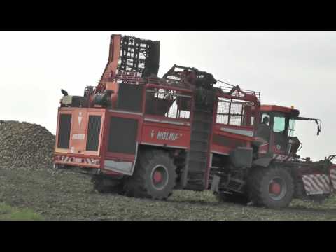 Der Rote Gigant Aus Niederbayern  im Einsatz Rübenernte XXL ein Extrem MONSTER TERRA DOS T3 IM EINSA