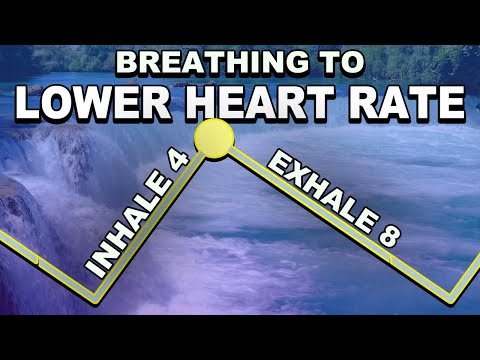 Deep Breathing to Slow Heart Rate (inhale 4, exhale 8)