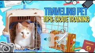 How to CRATE TRAINING Your Cat for LONG TRAVELS 💡
