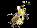 Kogile Hadu Chandana Kannada Whatsapp Status