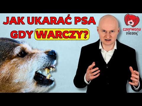 Warczenie psa. Pies warczy na właściciela. Pies warczy,  kiedy go przytulam. Konkretne rozwiązania