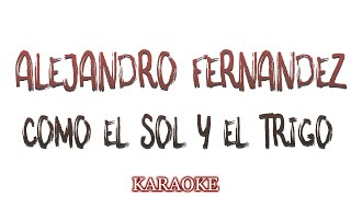 Alejandro Fernandez - Como el Sol y el Trigo - KARAOKE