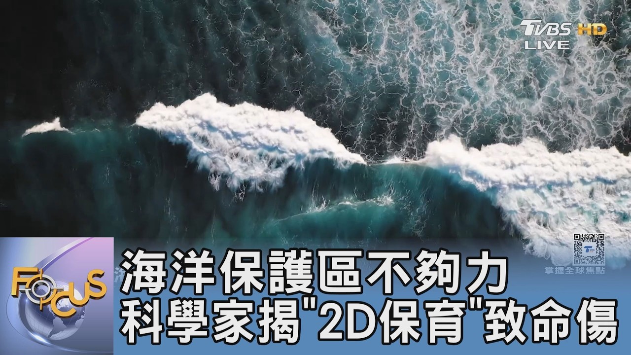 海洋保護區不夠力 科學家揭"2D保育"致命傷