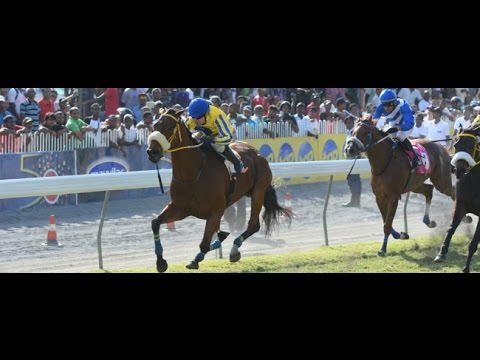 Donnie Brasco - Cedric Segeon